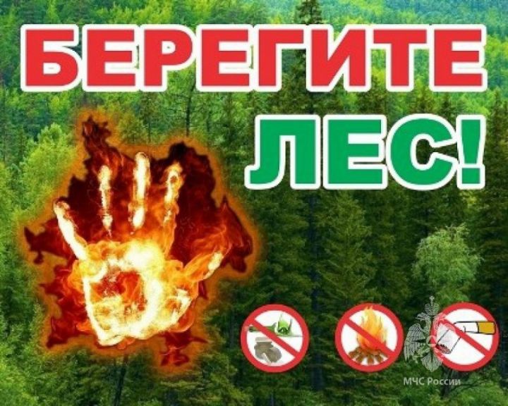В РТ действует штромовое предупреждение о сохранении высокой и чрезвычайной пожарной опасности лесов