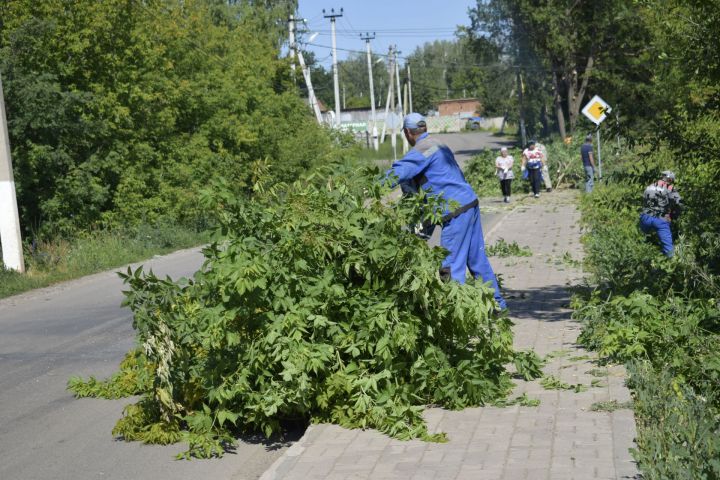На одной из улиц Бавлов провели вырубку деревьев