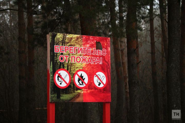 Гидрометцентр РТ: в республике объявлено штормовое предупреждение из-за высокой пожароопасности лесов