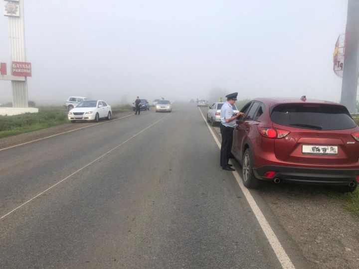 Сотрудники ГИБДД провели на дорогах Бавлинского района массовую проверку водителей