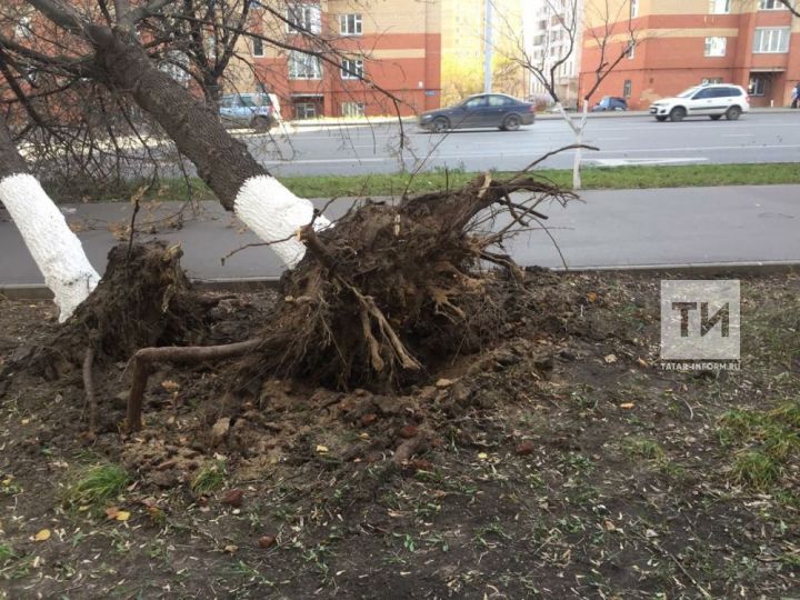 Эксперт объяснил причины смертоносного урагана в Татарстане