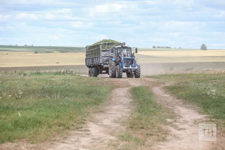 В Бавлах на протяжении десяти дней ГИБДД усилит контроль за эксплуатацией тракторов