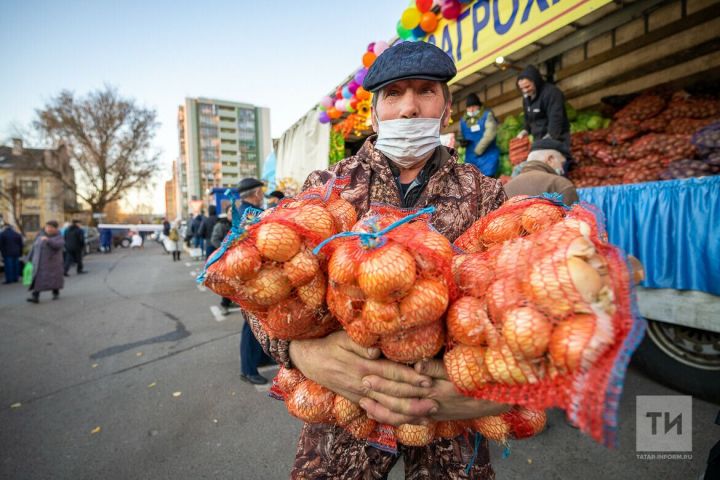 Для бавлинцев проведут семинар, где расскажут о способах развития малого бизнеса на селе