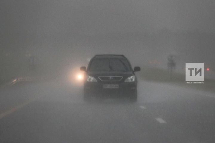 Синоптики прогнозируют туман в Татарстане