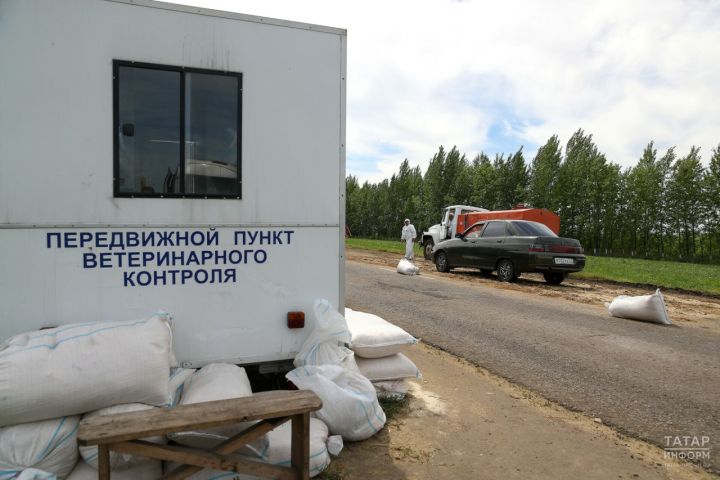 Из-за всплеска птичьего гриппа в Лениногорске введен карантин