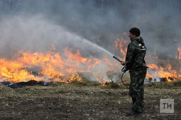 В этом году число возгораний возле лесных массивов в Татарстане выросло в три раза