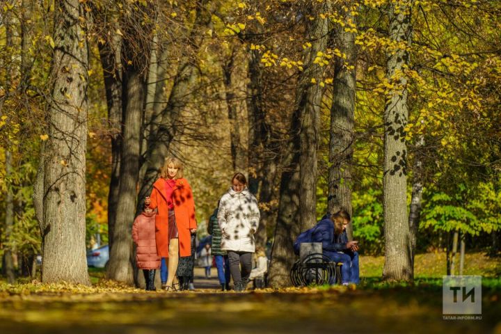 В четверг, 28 сентября, в Бавлах осадков не ожидается