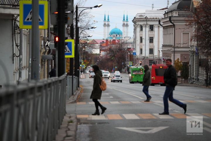 В столице Татарстана могут назвать одну из улиц в честь Дня воссоединения Донбасса с Россией