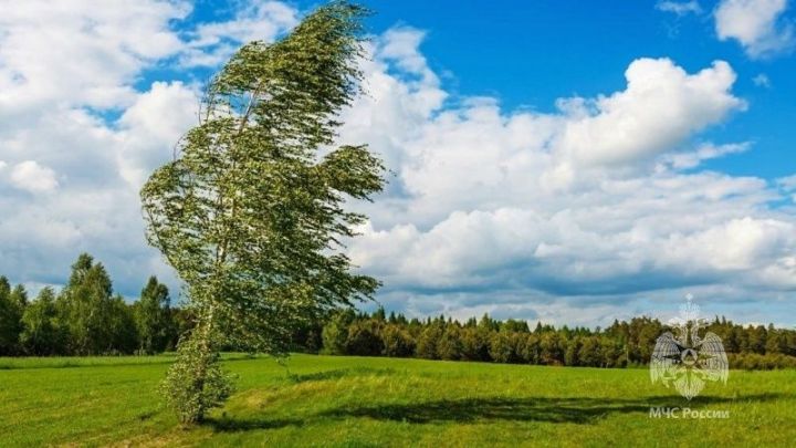 В Татарстане прогнозируют сильный ветер