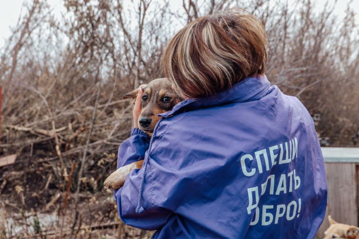 В Бавлах завершилась благотворительная акция «Добрая миска»