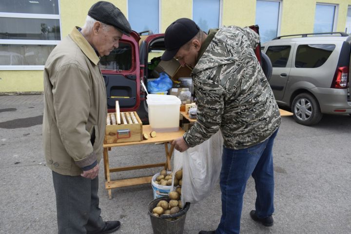 В Бавлах продолжается сезон осенних сельскохозяйственных ярмарок