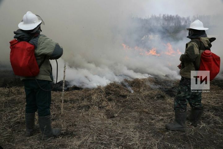 В лесах Республики Татарстан официально завершился пожароопасный сезон