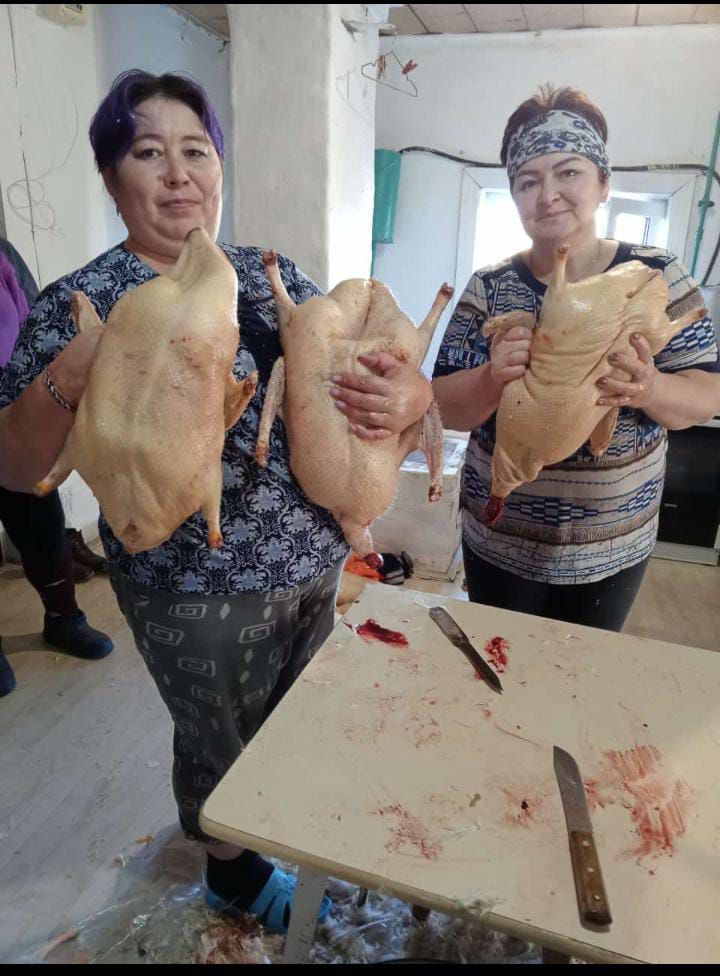 Казның ите тәмле, мае – файдалы