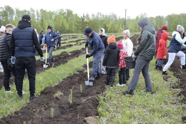 В Бавлах прошёл экологический фестиваль «УрманФест»