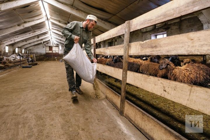 Минсельхозпрод сообщает о начале второго отбора заявок от граждан ведущих личное подсобное хозяйство на возмещение части затрат