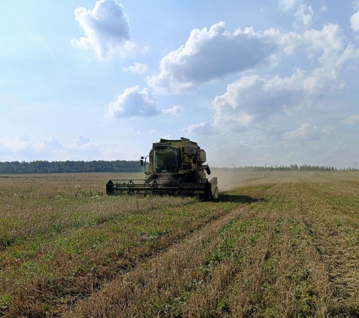 В Бавлинском районе продолжается уборочная кампания