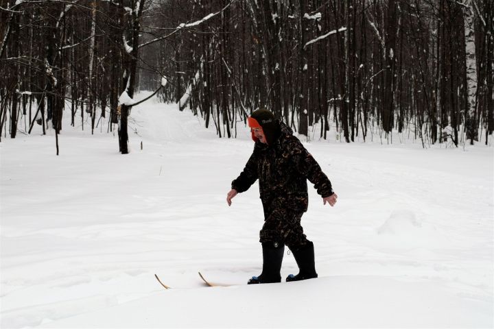 В Бавлинском районе пересчитают диких зверей и птиц