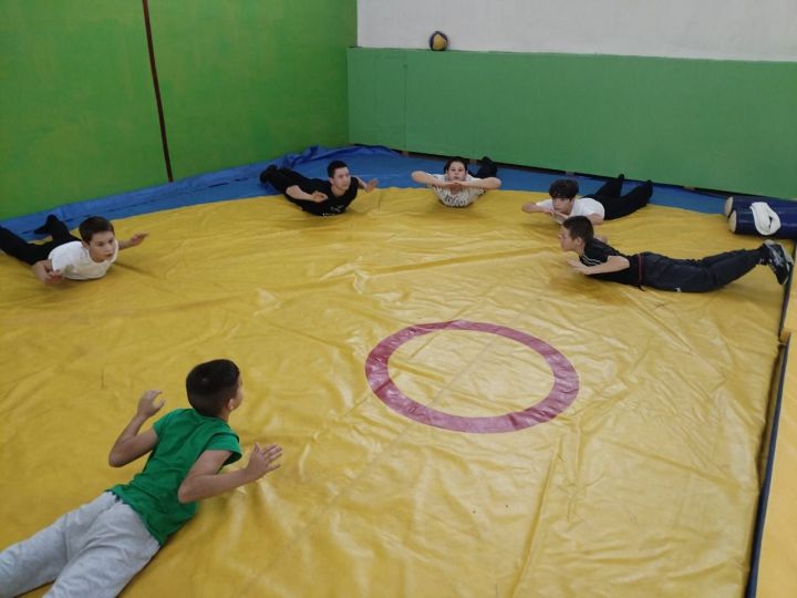В Бавлинском районе прошёл школьный турнир по борьбе