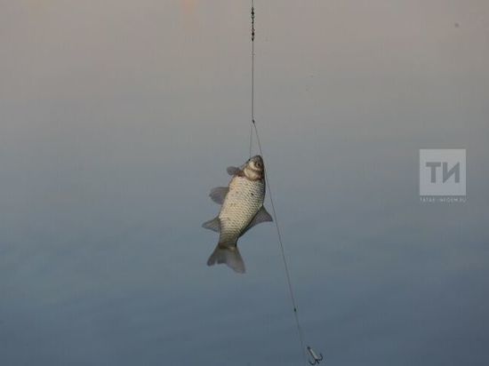 Бавыр сәламәтлеген саклау