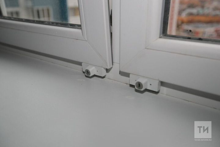 Өйне чиста тоту серләре