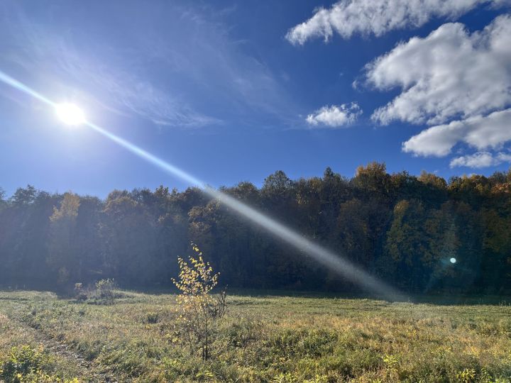 Переменная облачность ожидается в Татарстане в пятницу