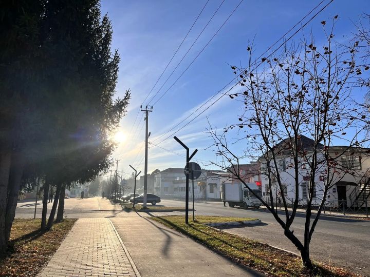 Воздух прогреется до +14 градусов сегодня в Бавлах