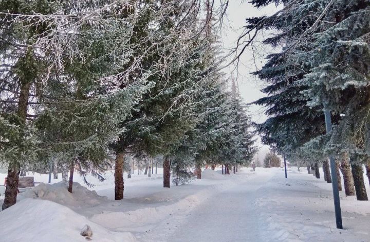 Сегодня бавлинцев ожидает ясная погода