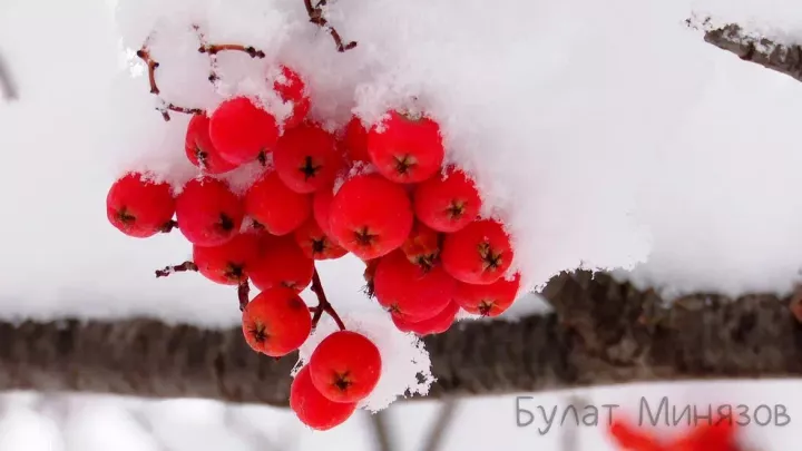 Гидрометцентр РТ: в Татарстане ожидается снег и ветер