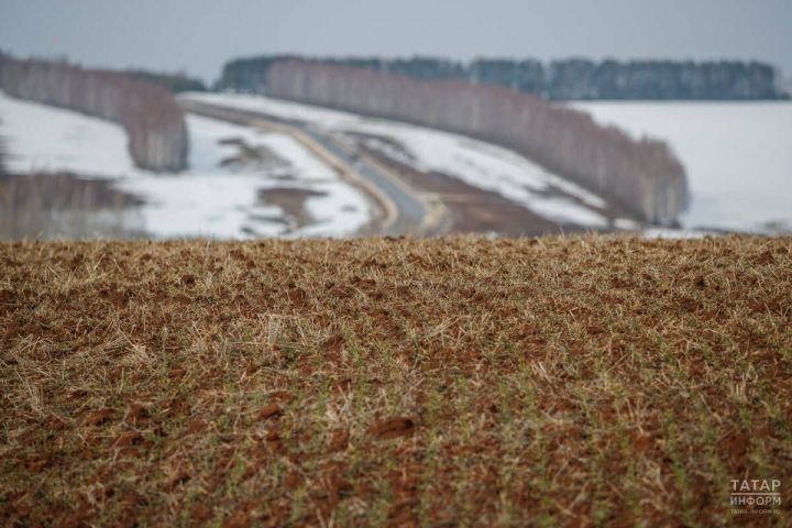 Затраты на весенне-полевые работы в Татарстане оценили в 43 млрд рублей