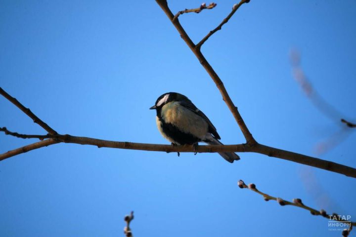 Погода на 25 марта: пасмурно и гололедица