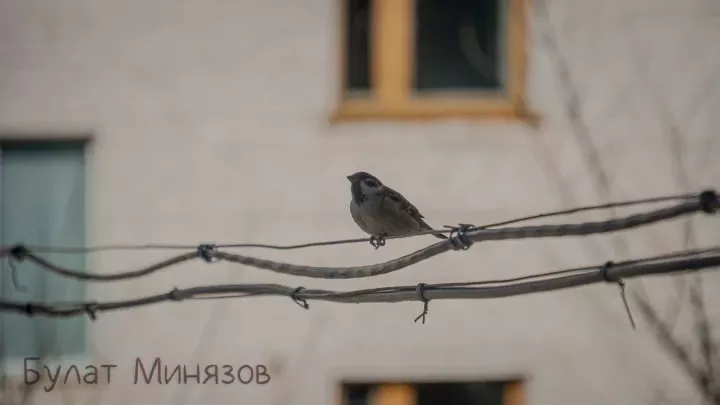 На дорогах Бавлинского района сохраняется гололедица