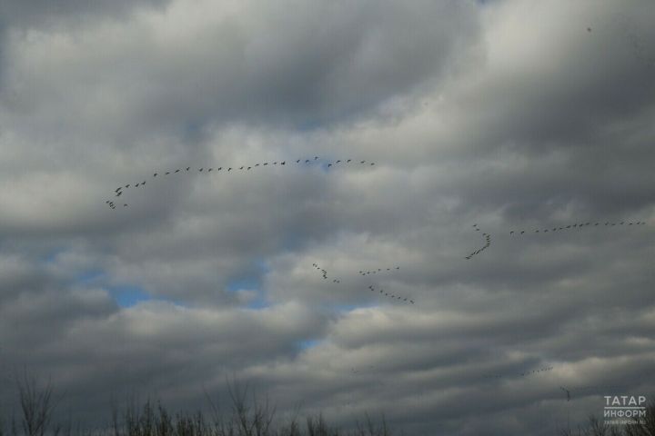В Татарстане ночью и утром ожидается туман, а также сильный ветер