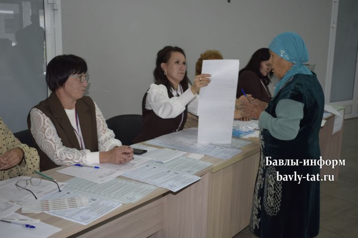 Баулы авылларында сайлаулар бара